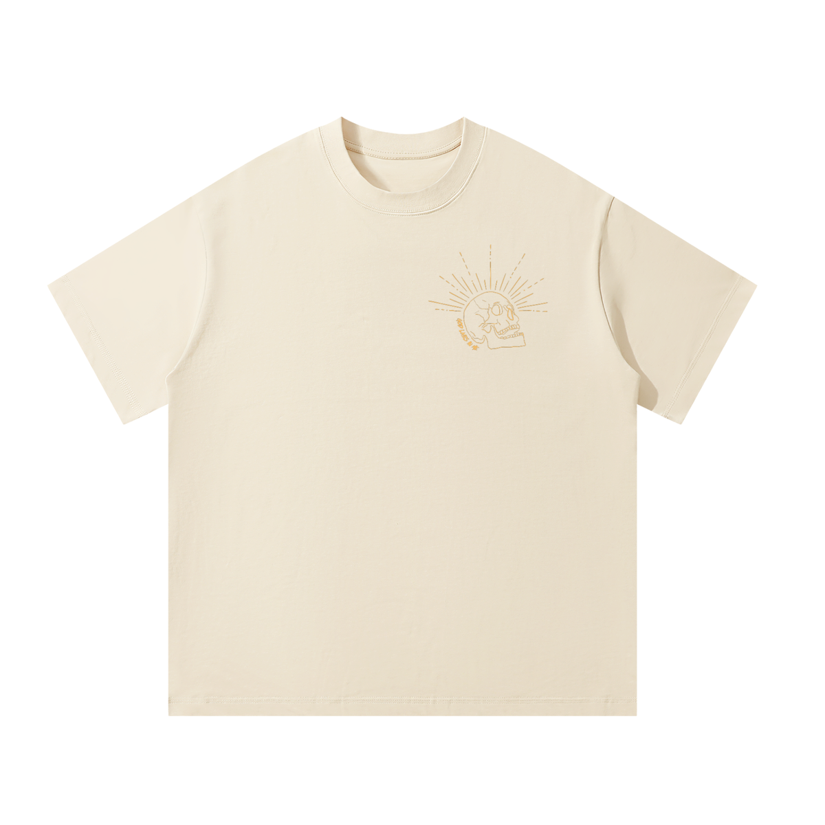 Galatians 2:20 Unisex Oversized T-Shirt